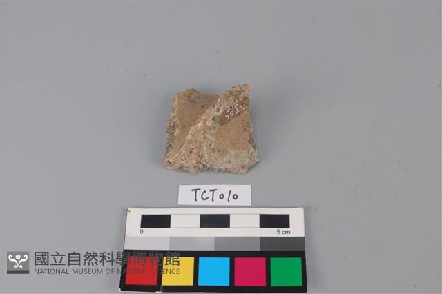 陶片藏品圖，第3張