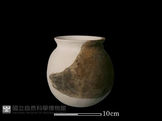 陶罐藏品圖，第4張