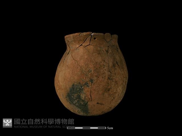 陶罐藏品圖，第4張