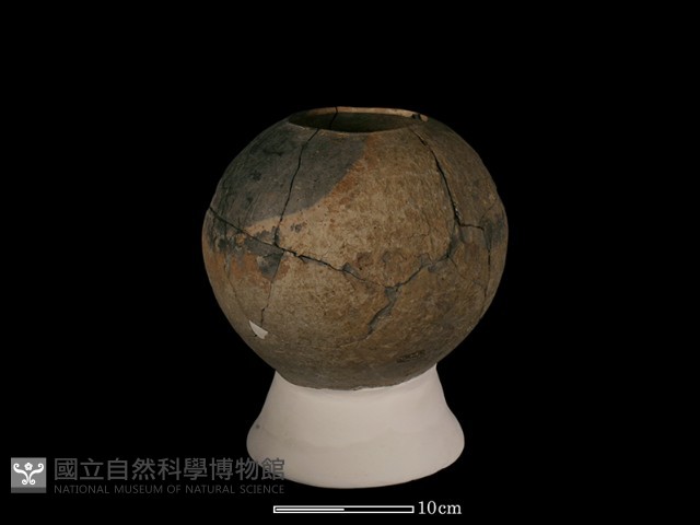 豆形器藏品圖，第5張