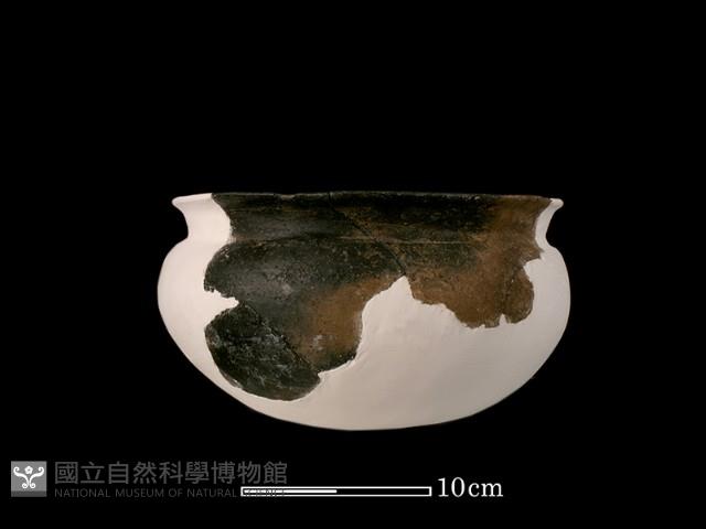 陶罐藏品圖，第4張