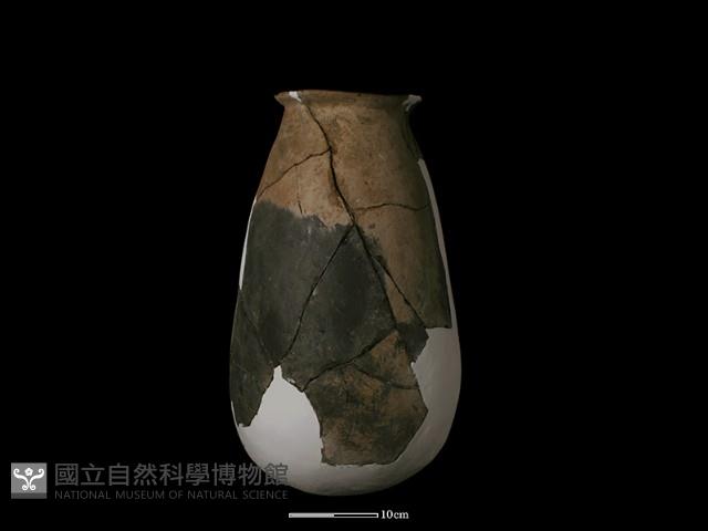 陶罐藏品圖，第4張
