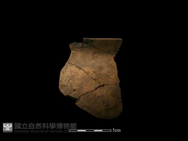 陶罐藏品圖，第5張