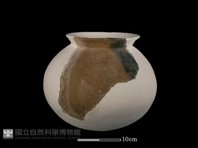 陶罐藏品圖，第4張
