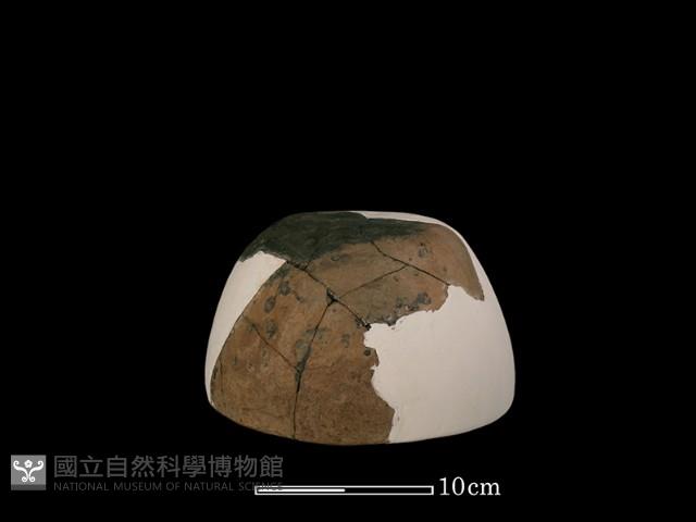 陶缽藏品圖，第4張