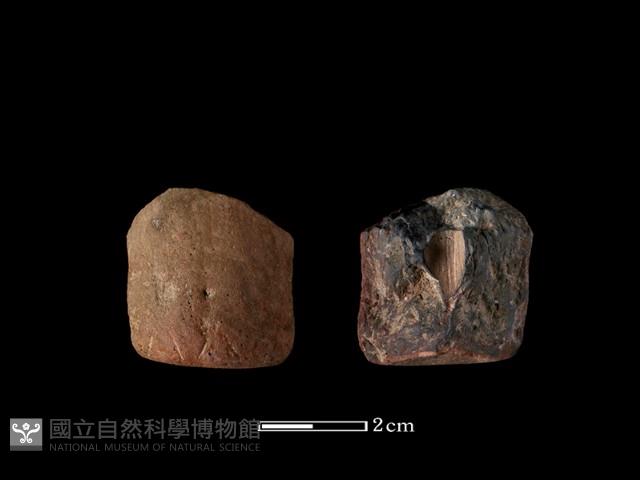 紡輪藏品圖，第4張