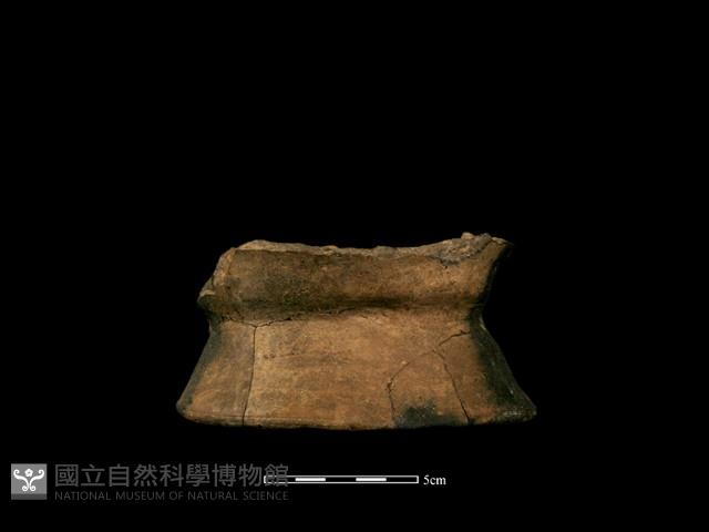 豆形器藏品圖，第4張
