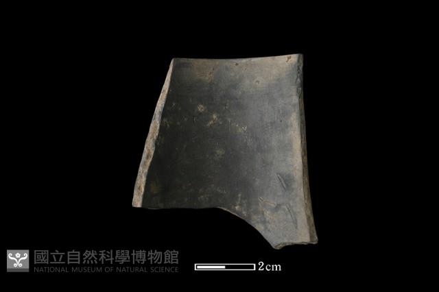 陶片藏品圖，第4張
