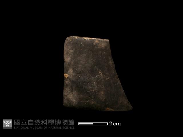 陶環藏品圖，第1張