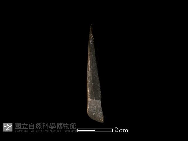 錛鑿形器藏品圖，第2張