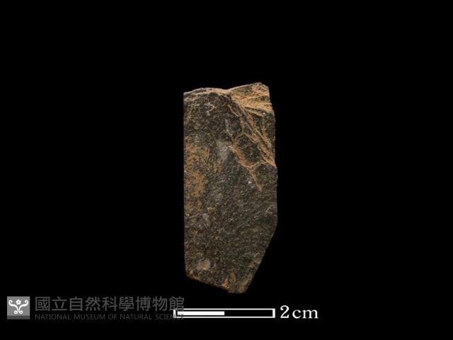 錛鑿形器藏品圖，第2張