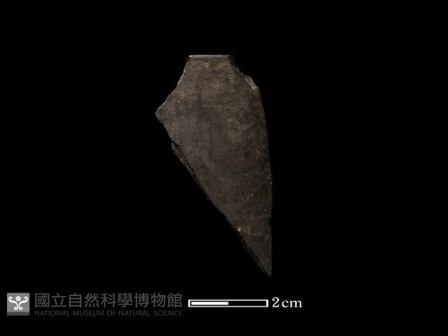 陶環藏品圖，第2張