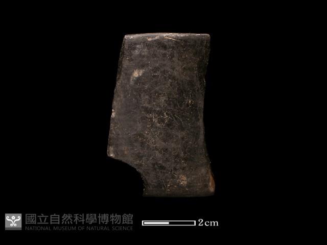 陶環藏品圖，第2張