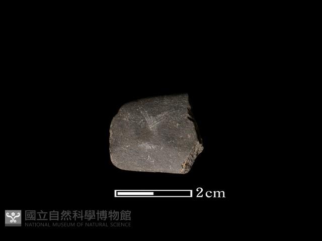 磨製石器藏品圖，第2張