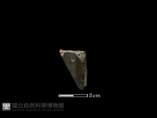 錛鑿形器藏品圖，第1張