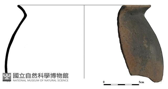 陶片藏品圖，第2張