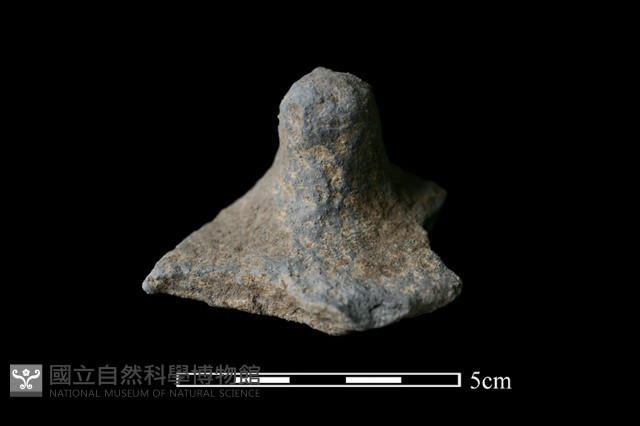 陶蓋鈕藏品圖，第1張