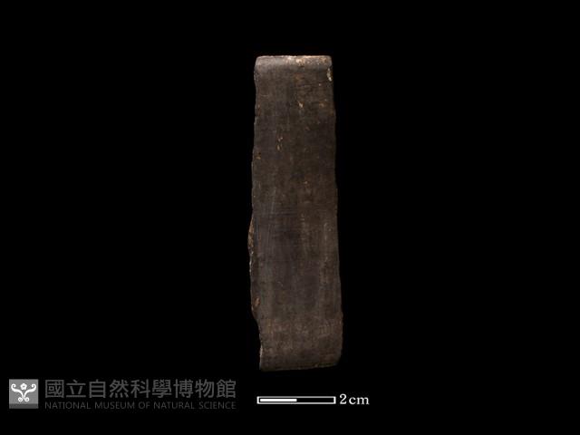 陶環藏品圖，第2張