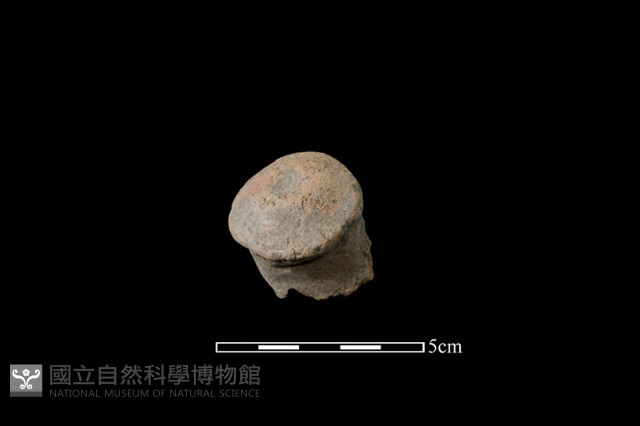 陶鈕藏品圖，第1張