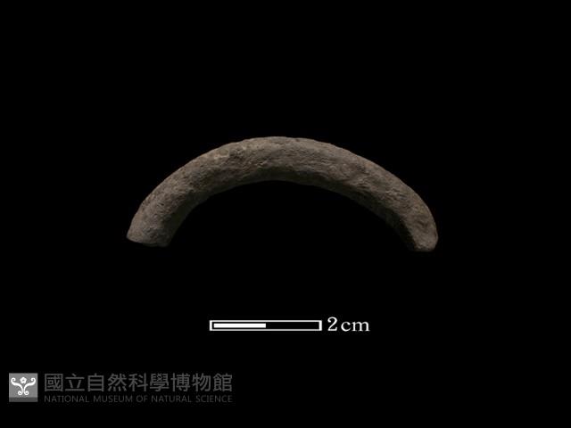 陶環藏品圖，第1張