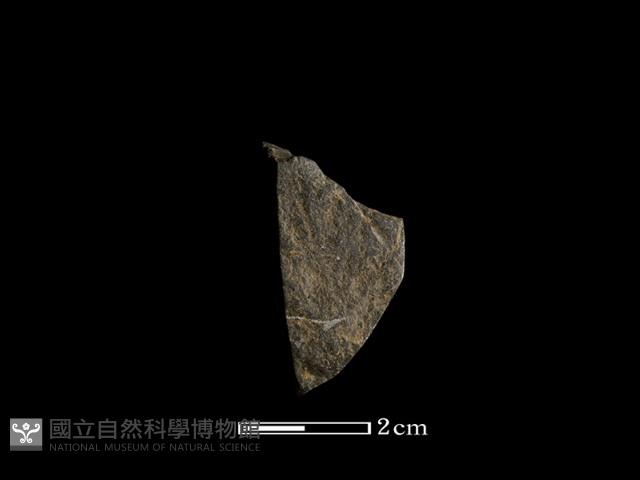 錛鑿形器藏品圖，第1張