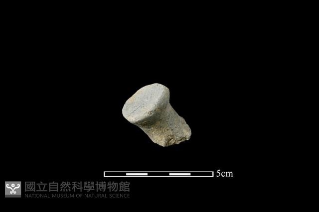 陶蓋鈕藏品圖，第2張