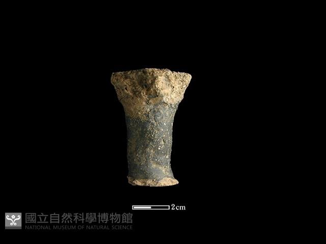 獸足藏品圖，第1張