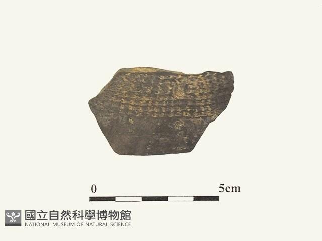 陶片藏品圖，第1張