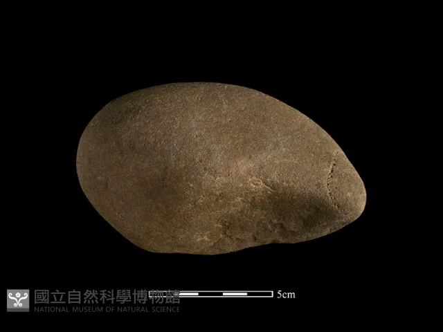矛鏃形器藏品圖，第1張