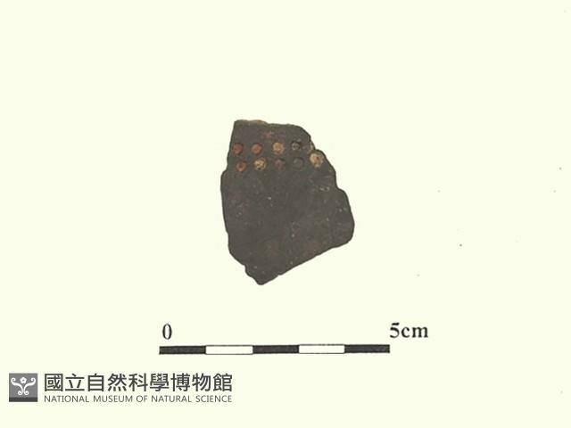 陶片藏品圖，第2張