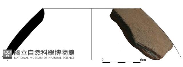 陶片藏品圖，第1張