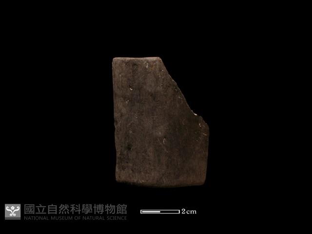 陶環藏品圖，第1張