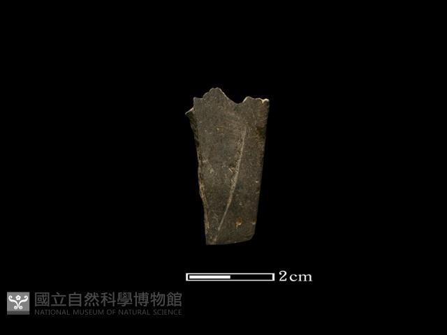 磨製石器藏品圖，第2張