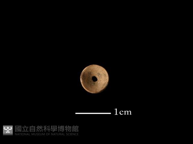 魚骨珠藏品圖，第2張