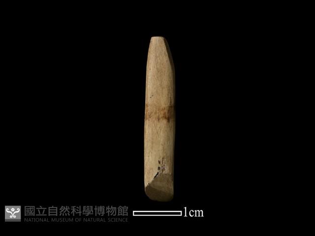 錛鑿形器藏品圖，第2張