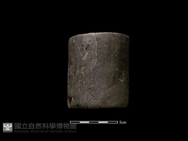 陶環藏品圖，第1張