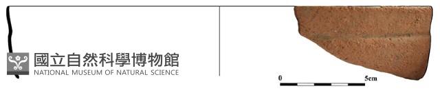 陶片藏品圖，第1張