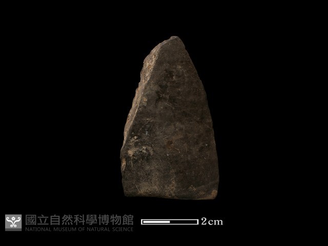 陶環藏品圖，第2張