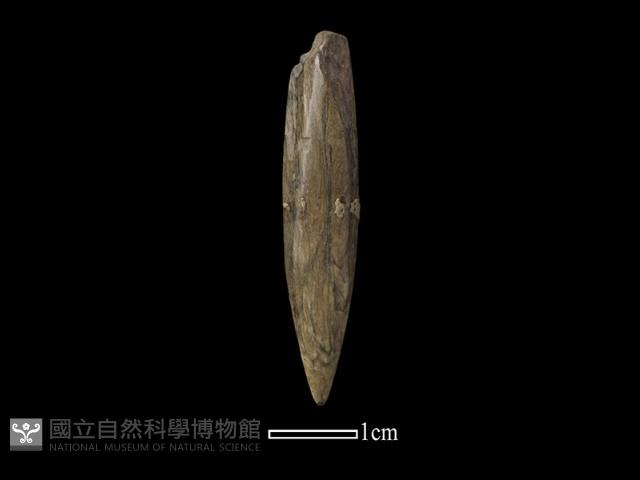 鑽頭藏品圖，第2張