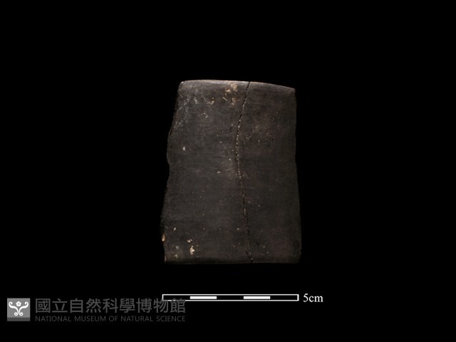 陶環藏品圖，第1張