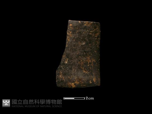 陶環藏品圖，第1張