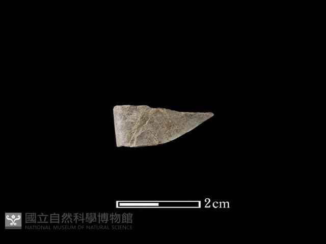 玉環藏品圖，第1張
