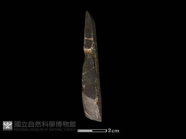 錛鑿形器藏品圖，第1張