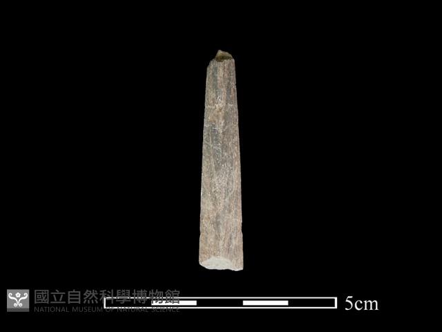矛鏃形器藏品圖，第1張