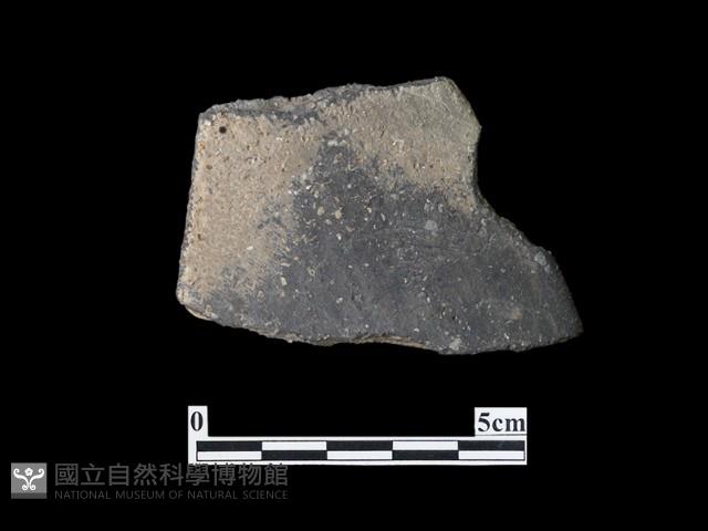 陶片藏品圖，第2張