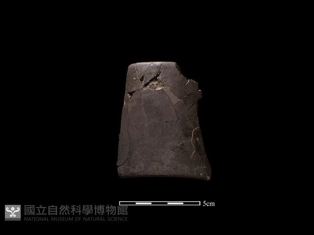 陶環藏品圖，第2張
