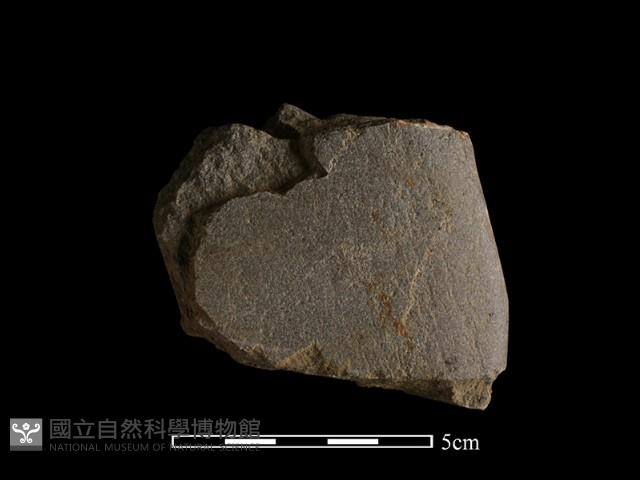 巴圖形器藏品圖，第2張