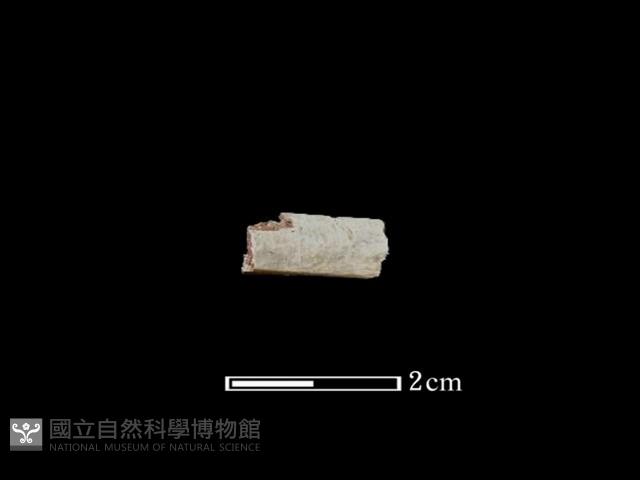 玉材藏品圖，第2張