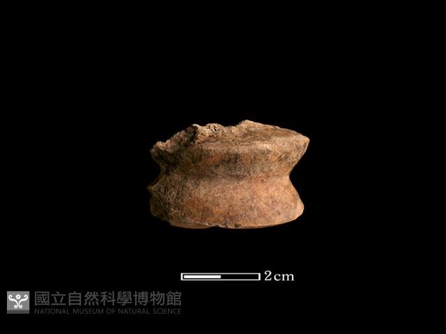 鹿骨藏品圖，第1張