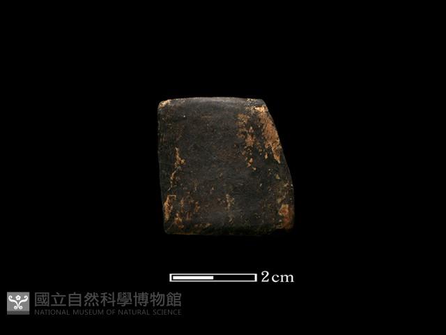 陶環藏品圖，第1張